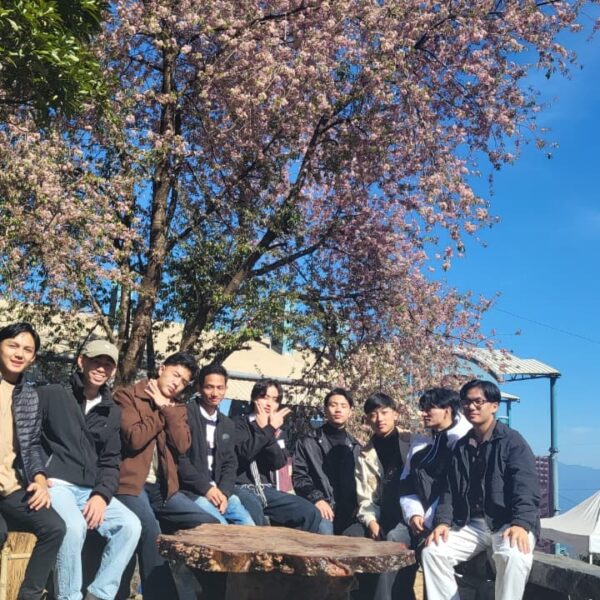 SAVE_20251209_153436 (2)